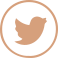 Coffee Bean